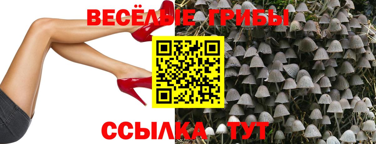 Кокаин  LSD-25  Конопля  Меф кристаллы  Вход с VPN  A-PVP СОЛЬ   Абинск  ГАШ  Где найти наркотики? 